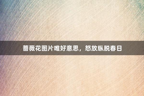 蔷薇花图片唯好意思，怒放纵脱春日