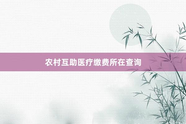 农村互助医疗缴费所在查询