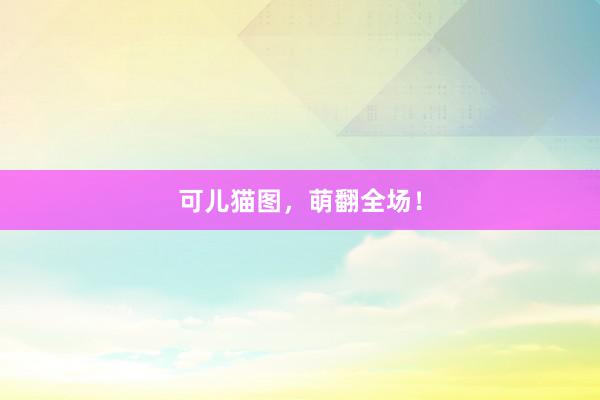 可儿猫图，萌翻全场！